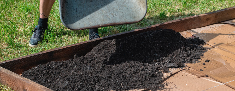 All About No-Till and No-Dig Gardening for Growing Weed