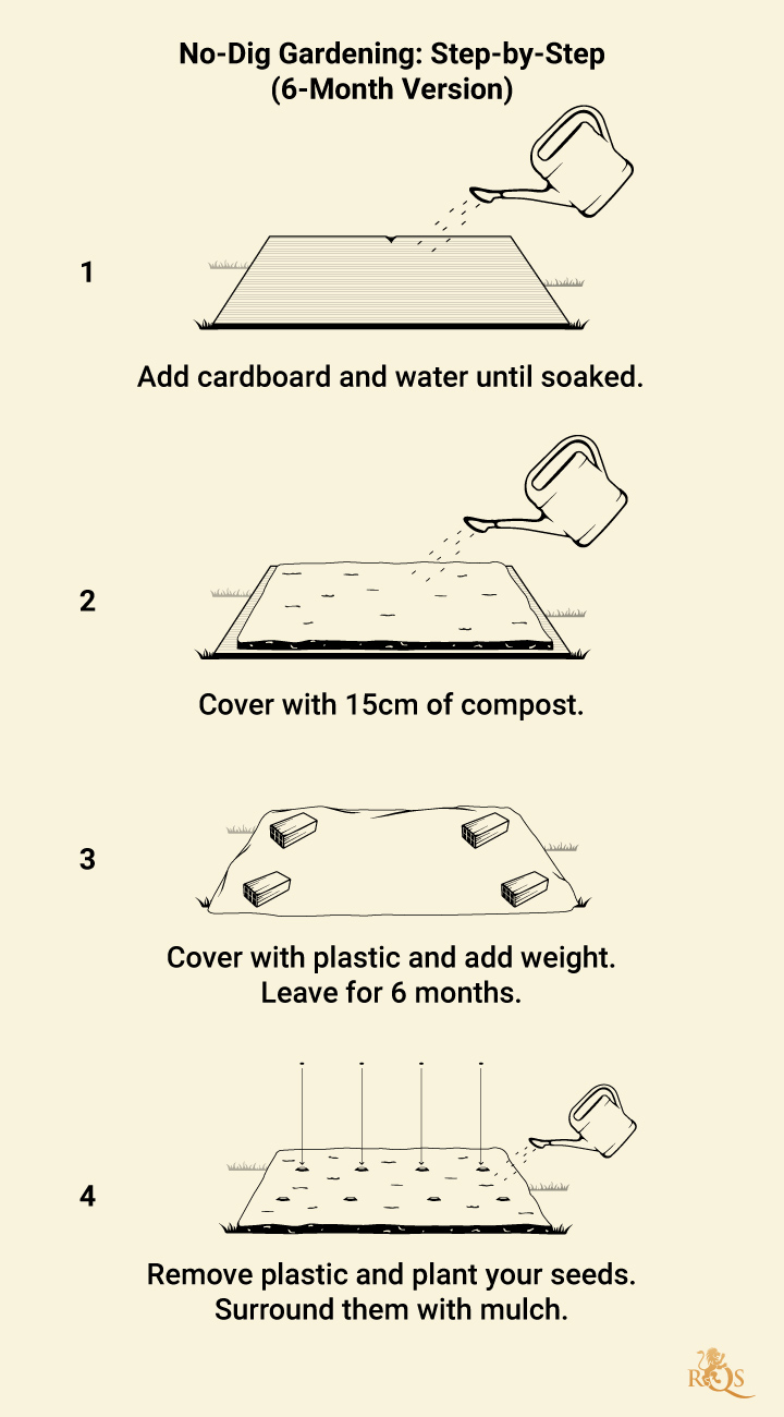 No Till Gardening Step by Step No Till Gardening Step by Step