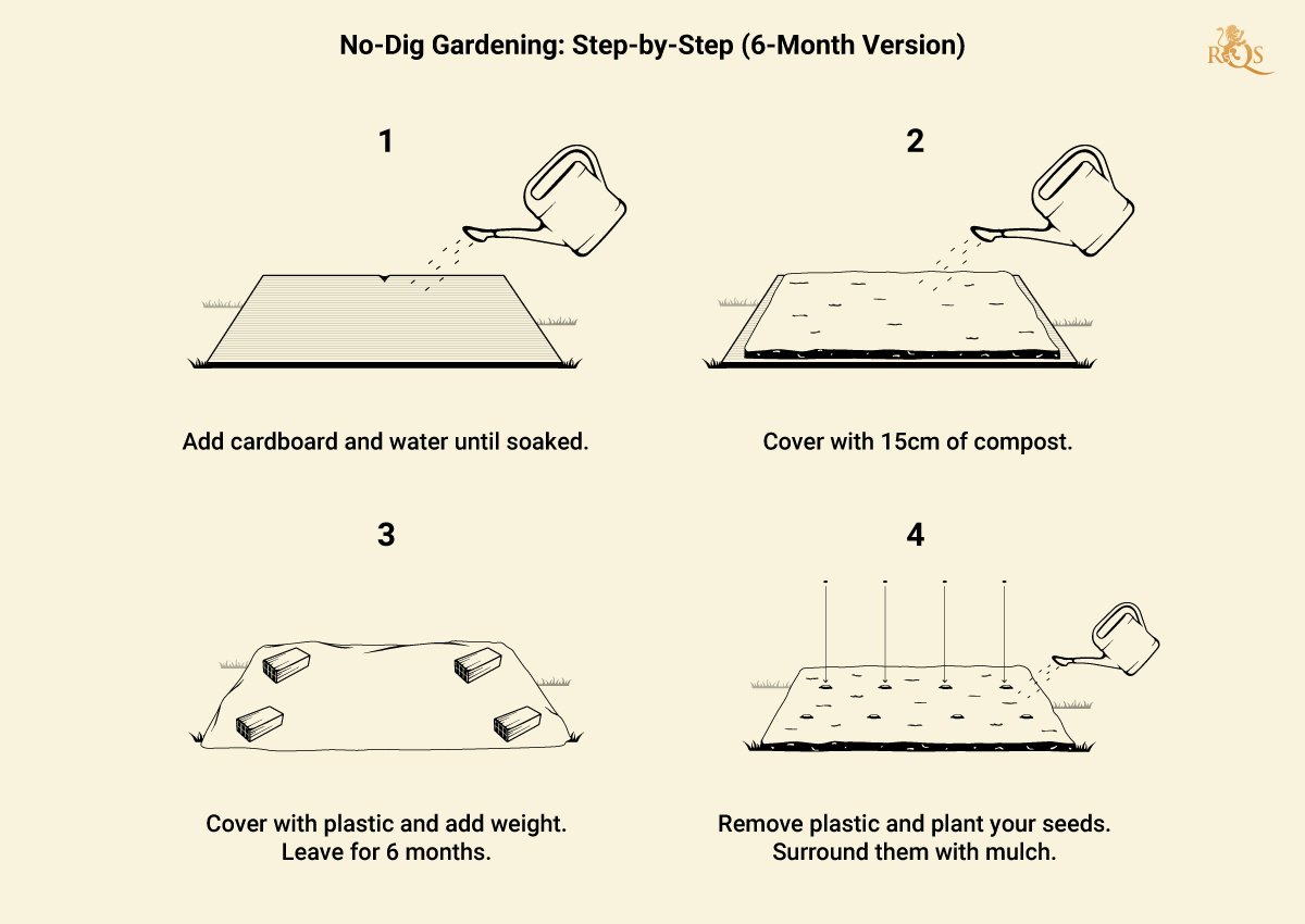 No Till Gardening Step by Step No Till Gardening Step by Step