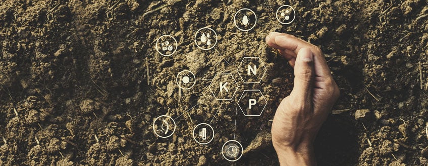 Com i per què fer fertilitzants casolans ecològics Com i per què fer fertilitzants casolans ecològics