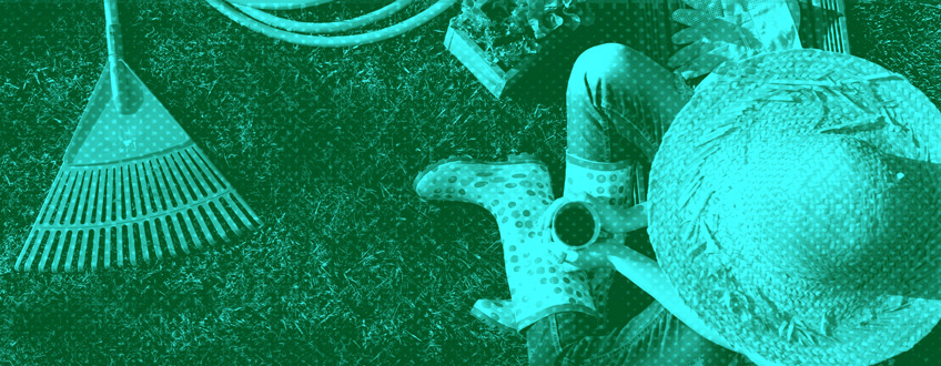 Benefits of Plant Therapy Benefits of Plant Therapy