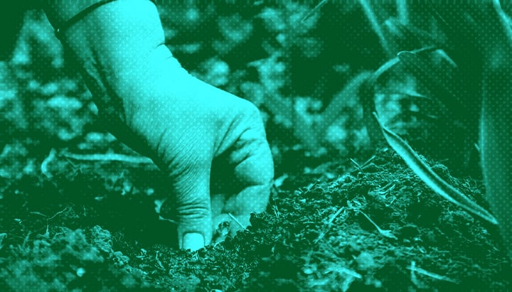 Plant Therapy Plant Therapy