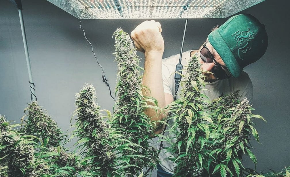 Sitting Down With DWC Specialist Sebastian Sitting Down With DWC Specialist Sebastian