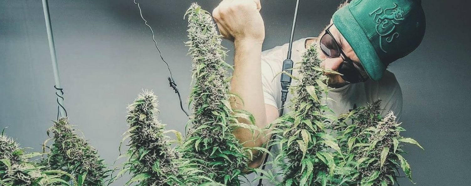 Sitting Down With DWC Specialist Sebastian Sitting Down With DWC Specialist Sebastian