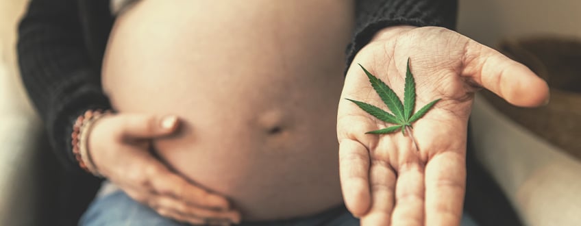 Quins són els possibles riscos associats al consum de marihuana durant l'embaràs?
