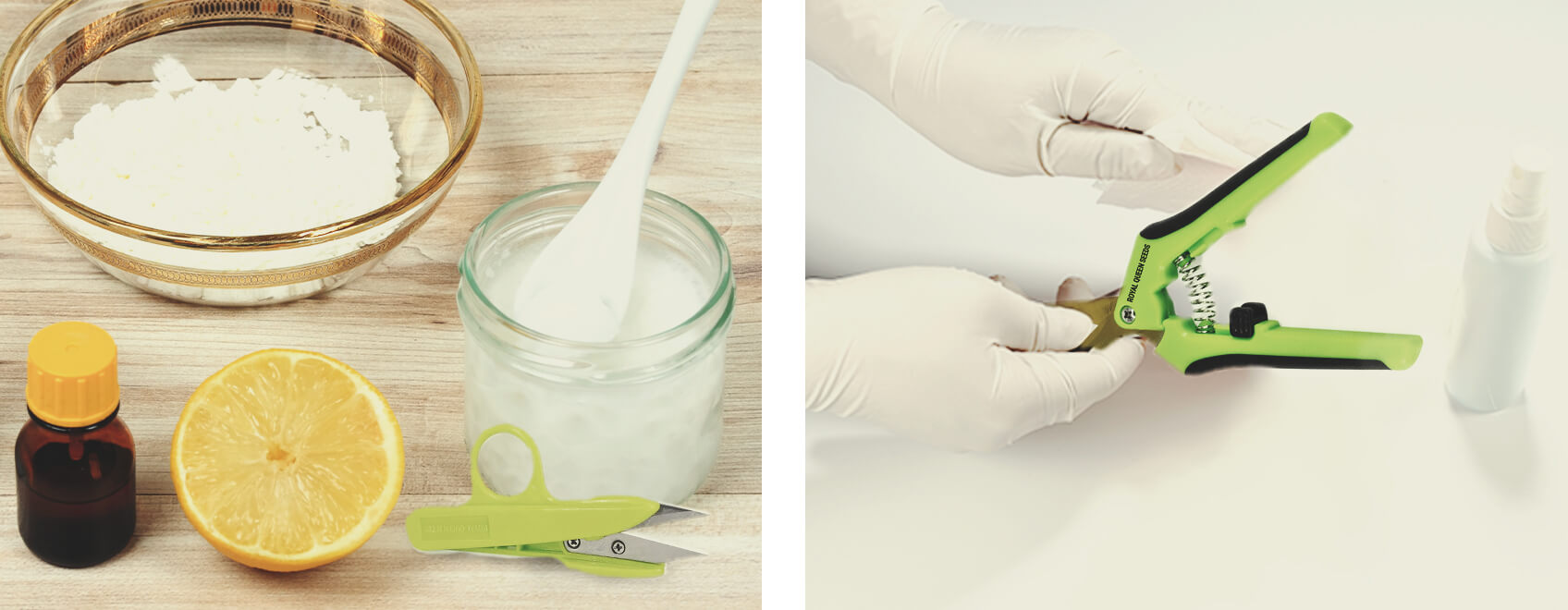 5 Ways To Clean Your Cannabis Trimming Scissors 5 Ways To Clean Your Cannabis Trimming Scissors