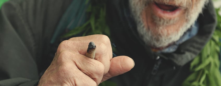 THE CANNABIS MOVEMENT IN SPAIN