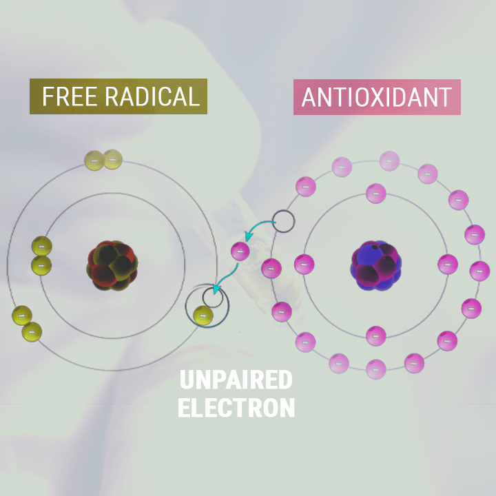 OLI DE CBD COM A ANTIOXIDANT OLI DE CBD COM A ANTIOXIDANT