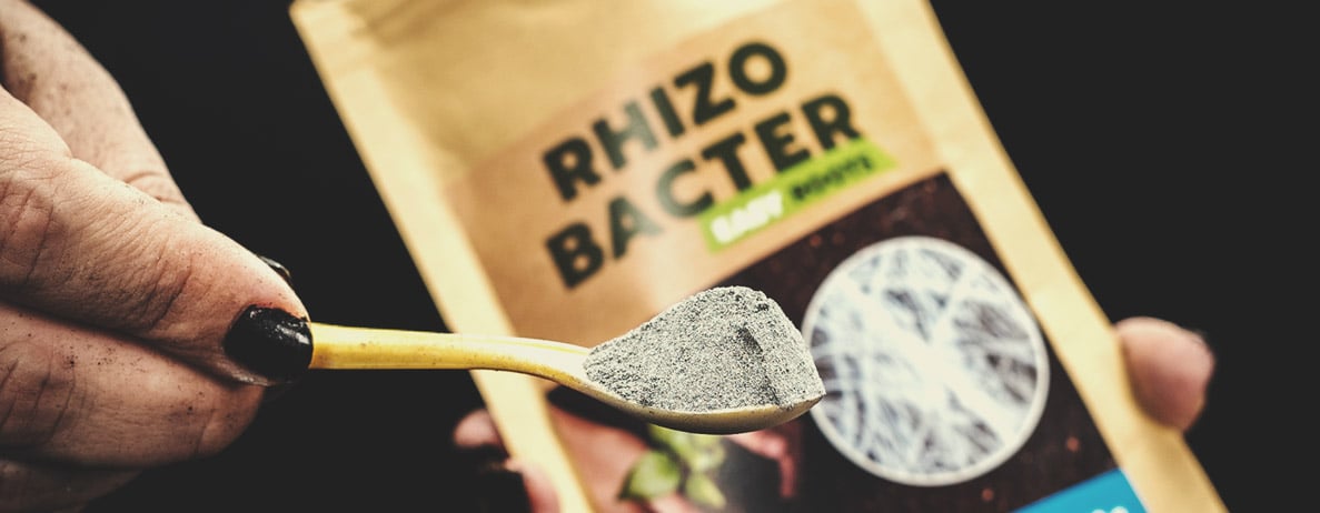 Rhizobacter Rhizobacter