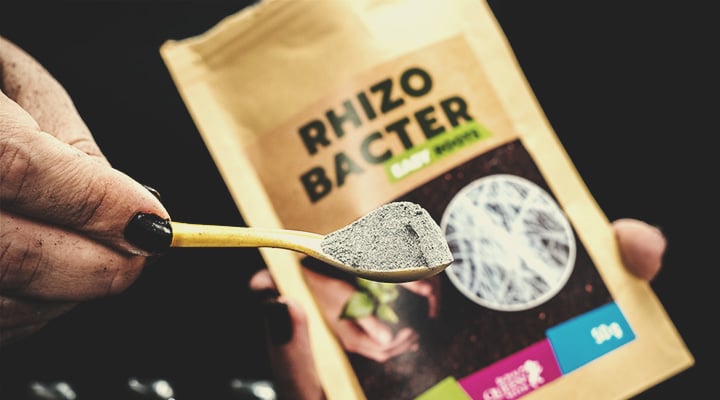 Rhizobacter Rhizobacter