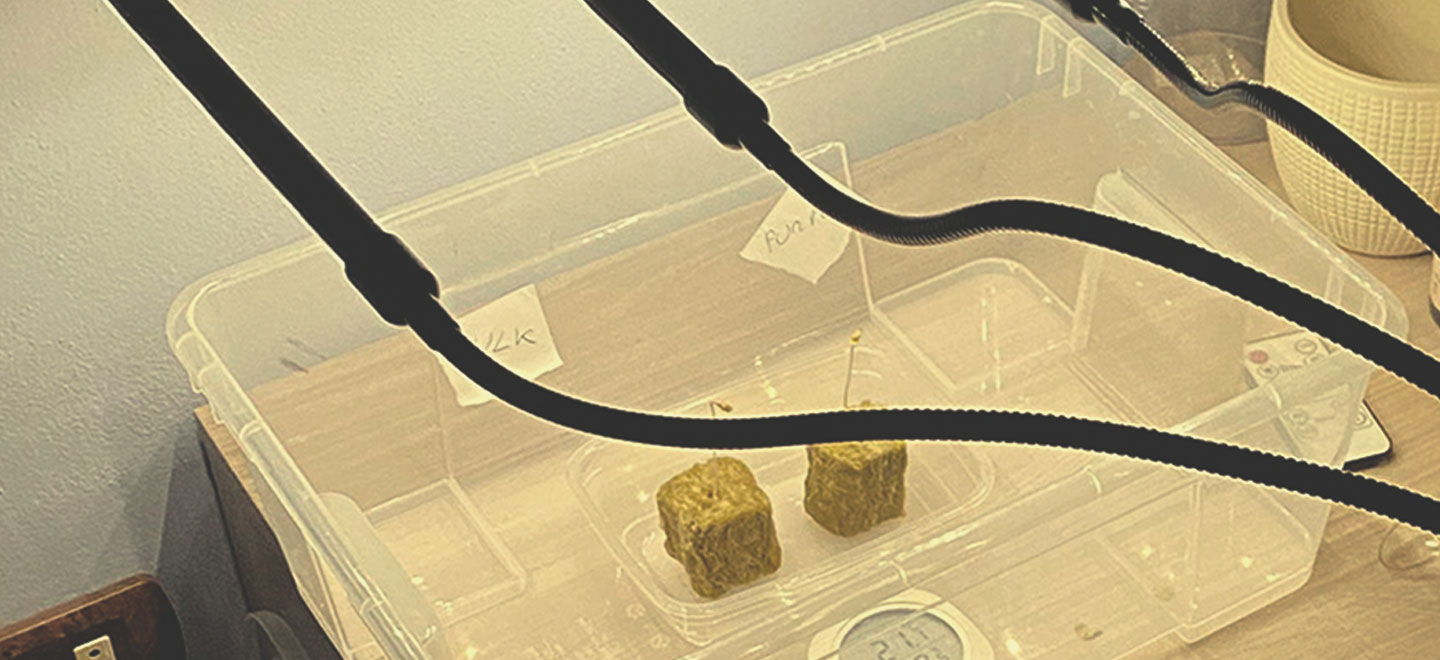 Stabilise the pH and Feed Your Blocks Stabilise the pH and Feed Your Blocks
