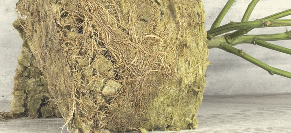 Can Rockwool Be Composted? Can Rockwool Be Composted?