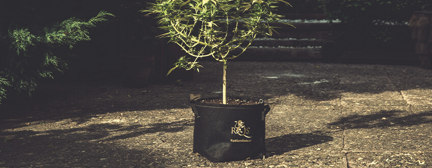 RQS Fabric pot with Aqua breathe layer