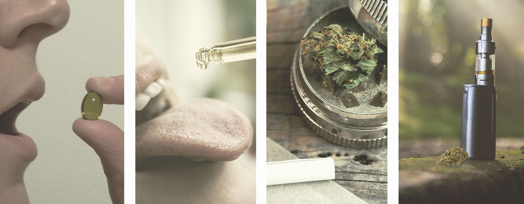How To Microdose CBD How To Microdose CBD