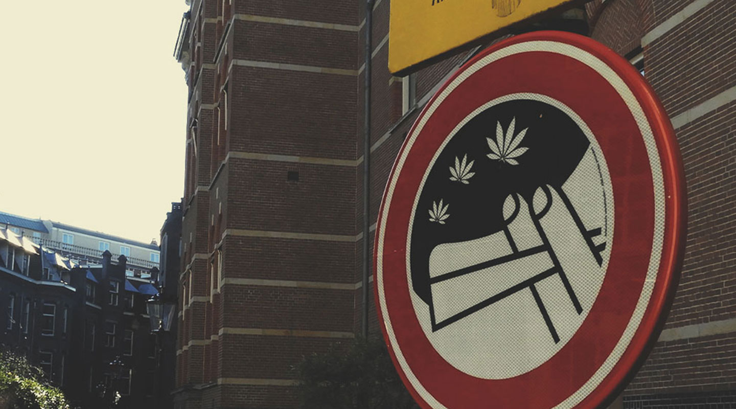 What Has Caused Cannabis Potency To Increase Over Time? What Has Caused Cannabis Potency To Increase Over Time?