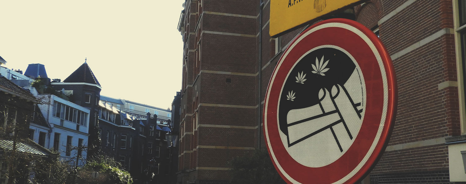 What Has Caused Cannabis Potency To Increase Over Time? What Has Caused Cannabis Potency To Increase Over Time?