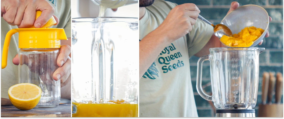 Step 2: Add the liquids to the blender for a smooth cannabis smoothie Pouring orange juice, water, and lemon juice into a blender jug with chopped mango to prepare a smoothie.