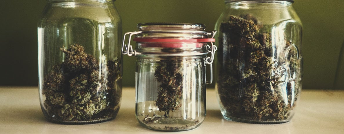 Quins beneficis ofereix el consum conjunt de CBD i THC? Quins beneficis ofereix el consum conjunt de CBD i THC?