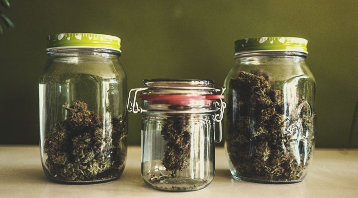 Quins beneficis ofereix el consum conjunt de CBD i THC? Quins beneficis ofereix el consum conjunt de CBD i THC?