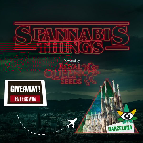 SPANNABIS THINGS RAFFLE