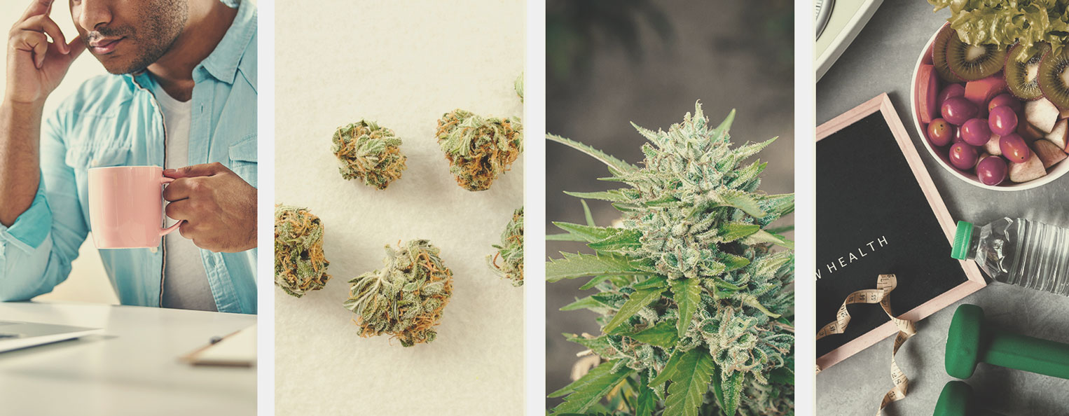Is It Safe To Smoke Weed Every Day? - RQS Blog