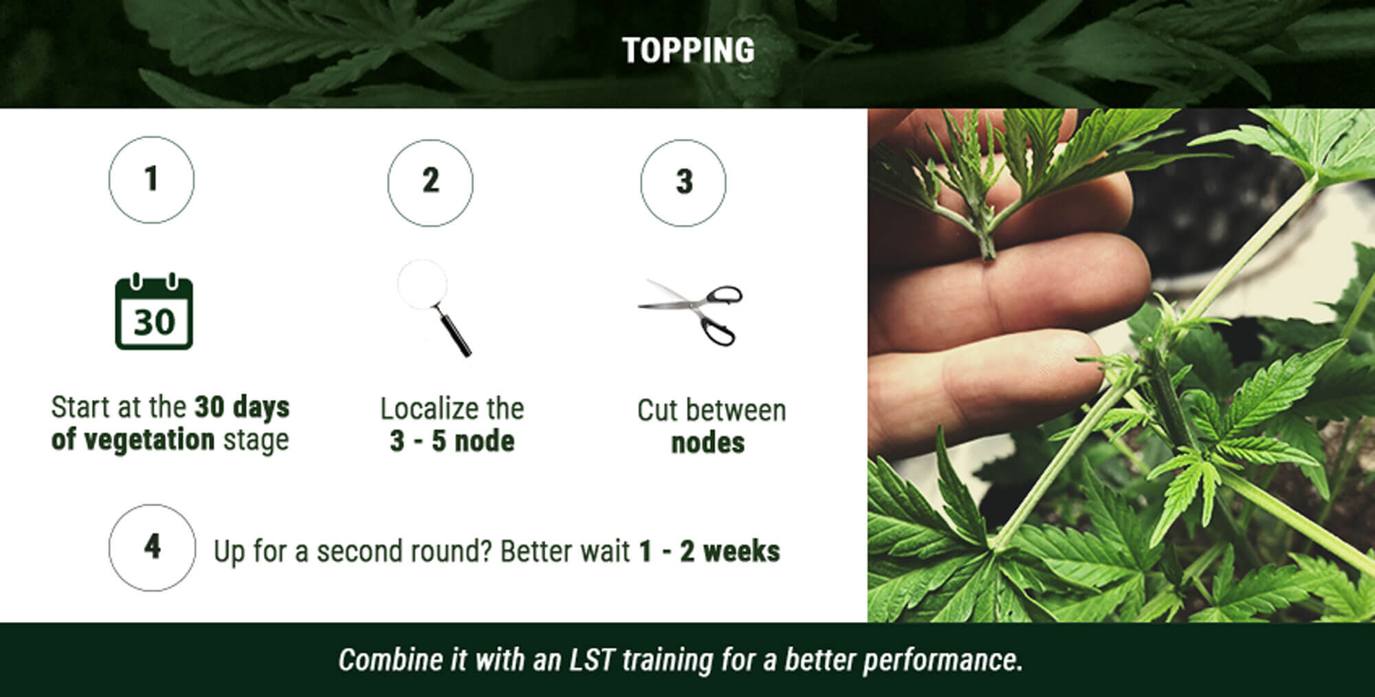 Topping