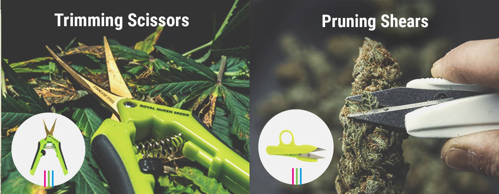 What Are the Differences Between Scissors and Pruning Shears? What Are the Differences Between Scissors and Pruning Shears?