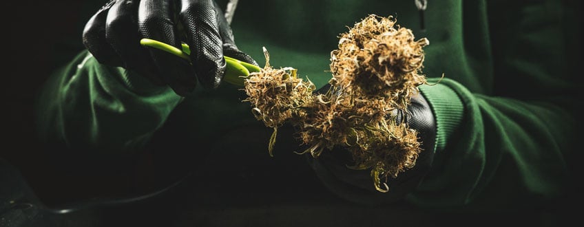 Trimming Trimming
