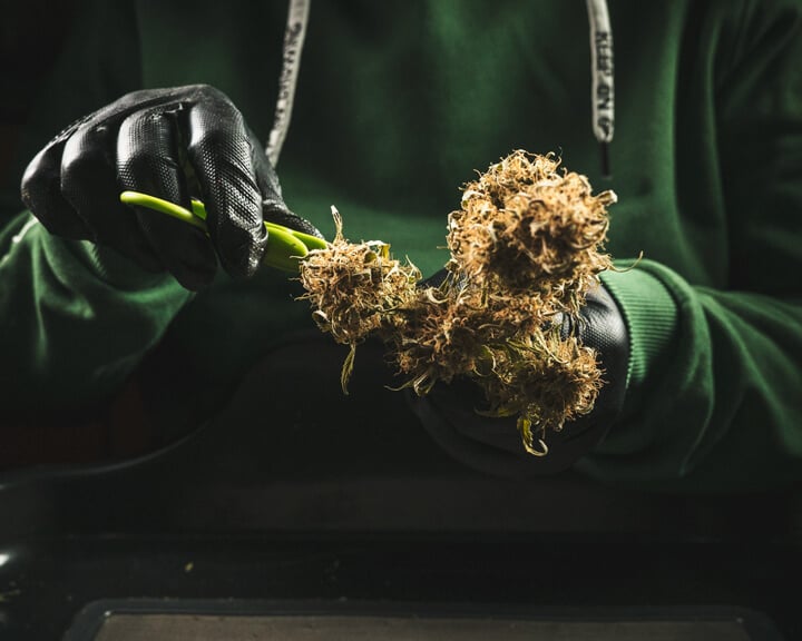 Trimming Trimming