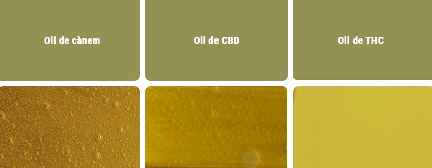 Oli de CBD vs altres tipus d'olis Oli de CBD vs altres tipus d'olis