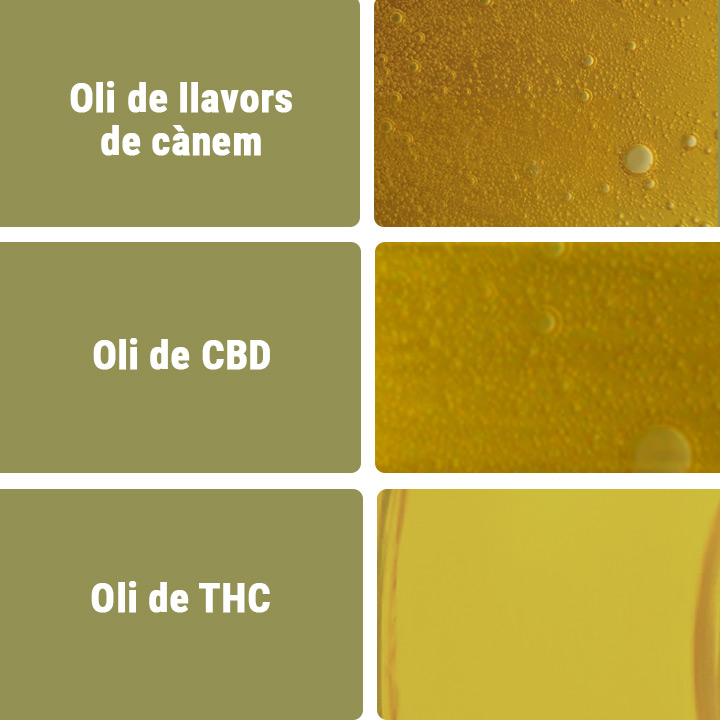 Oli de CBD vs altres tipus d'olis