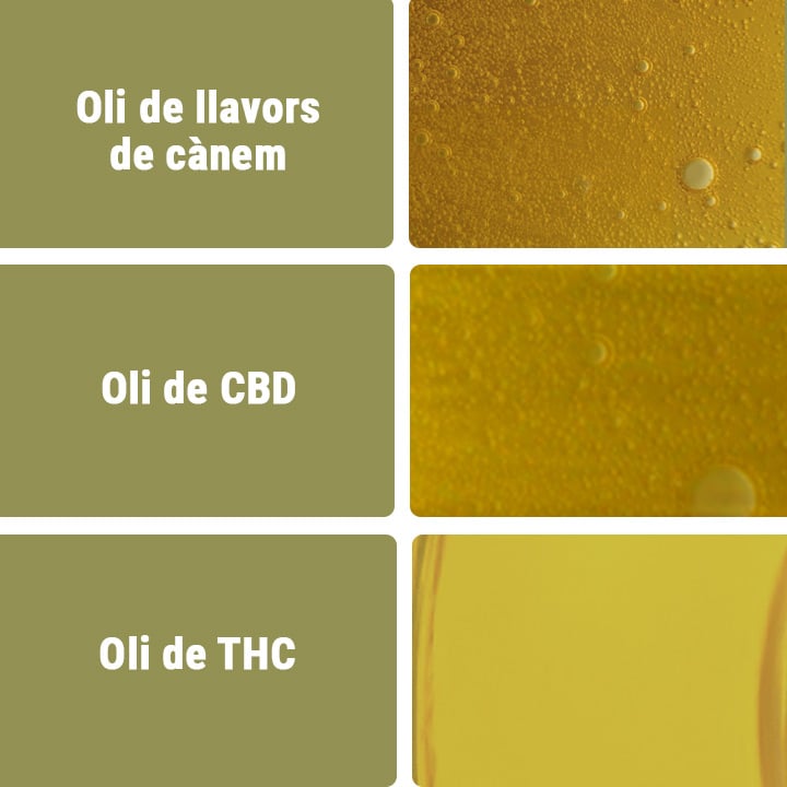 Oli de CBD vs altres tipus d'olis Oli de CBD vs altres tipus d'olis