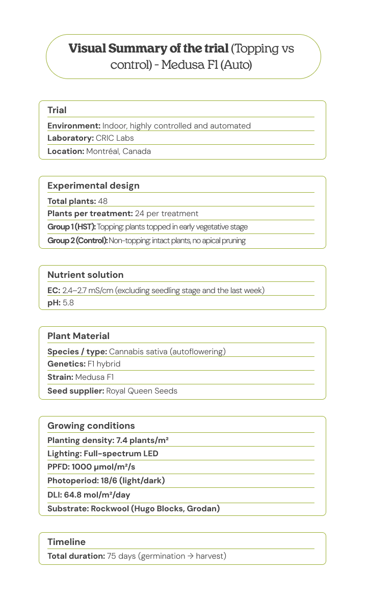 Visual summary of the Medusa F1 (Auto) trial comparing topping vs control, showing experimental design, plant material, growing conditions, nutrient solution, and timeline