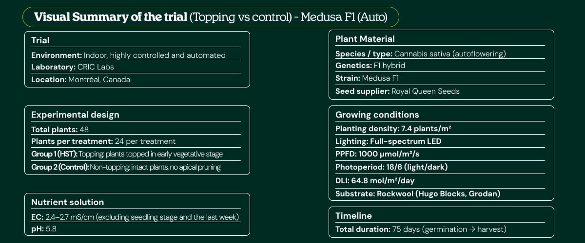 Visual summary of the Medusa F1 (Auto) trial comparing topping vs control, showing experimental design, plant material, growing conditions, nutrient solution, and timeline