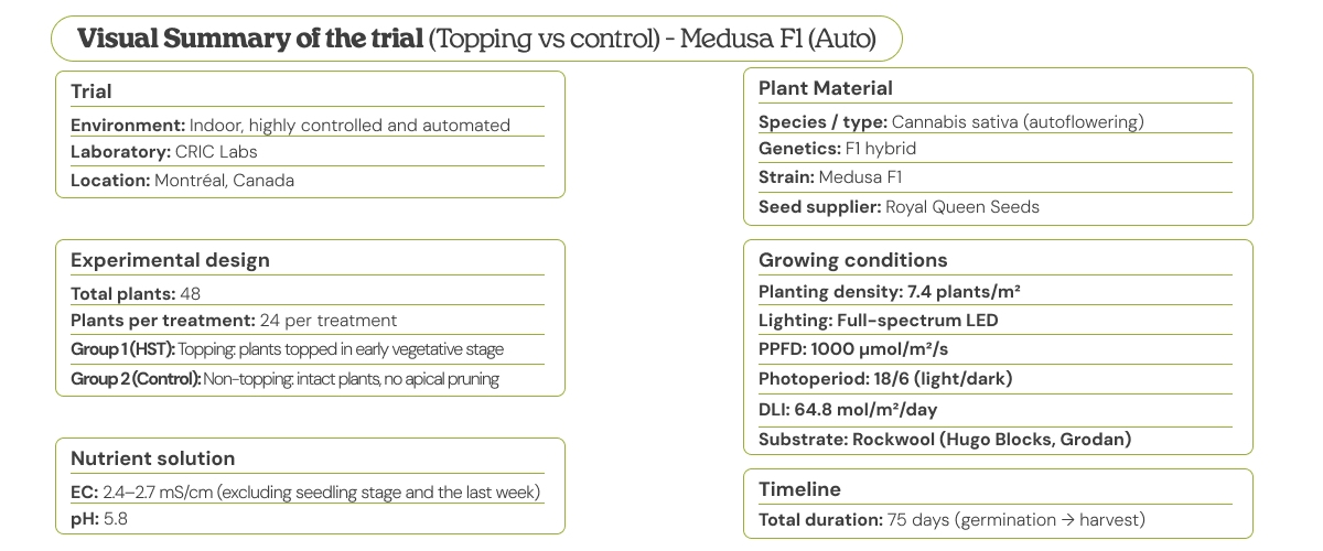 Visual summary of the Medusa F1 (Auto) trial comparing topping vs control, showing experimental design, plant material, growing conditions, nutrient solution, and timeline