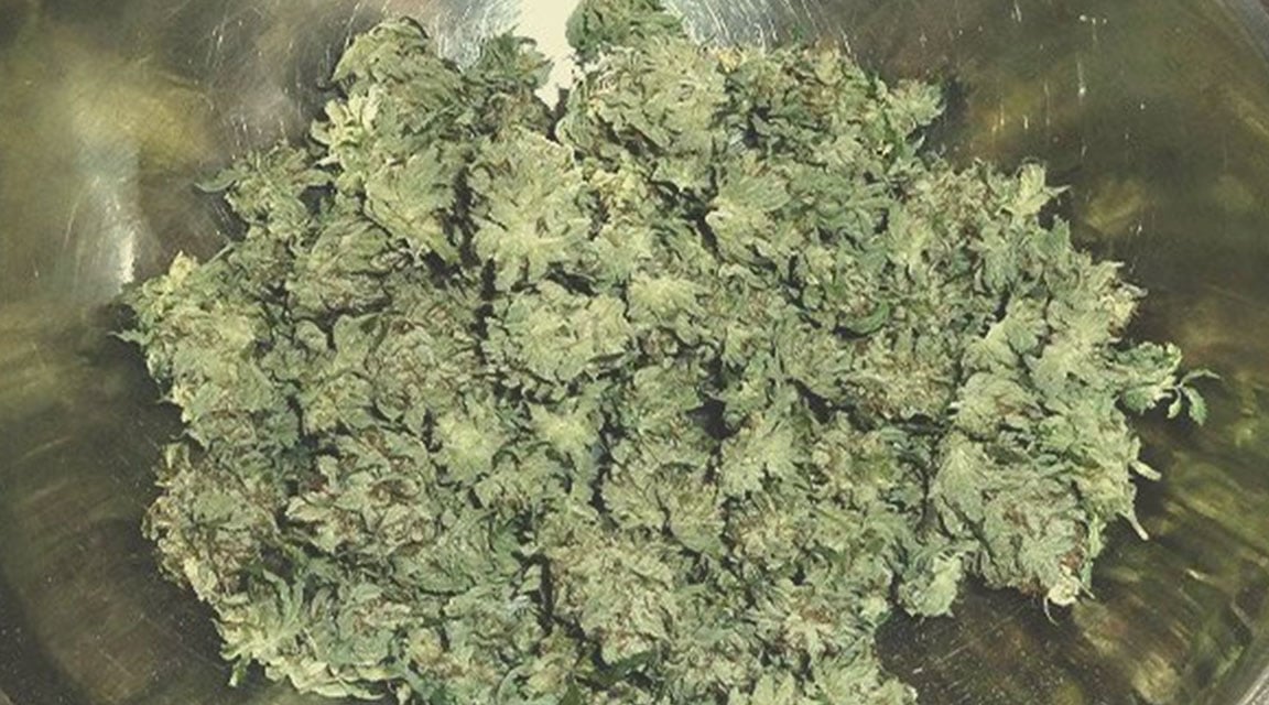 White Widow White Widow