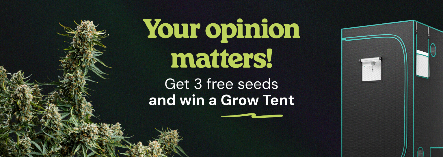 Answer to win 3 FREE Gushers Seeds