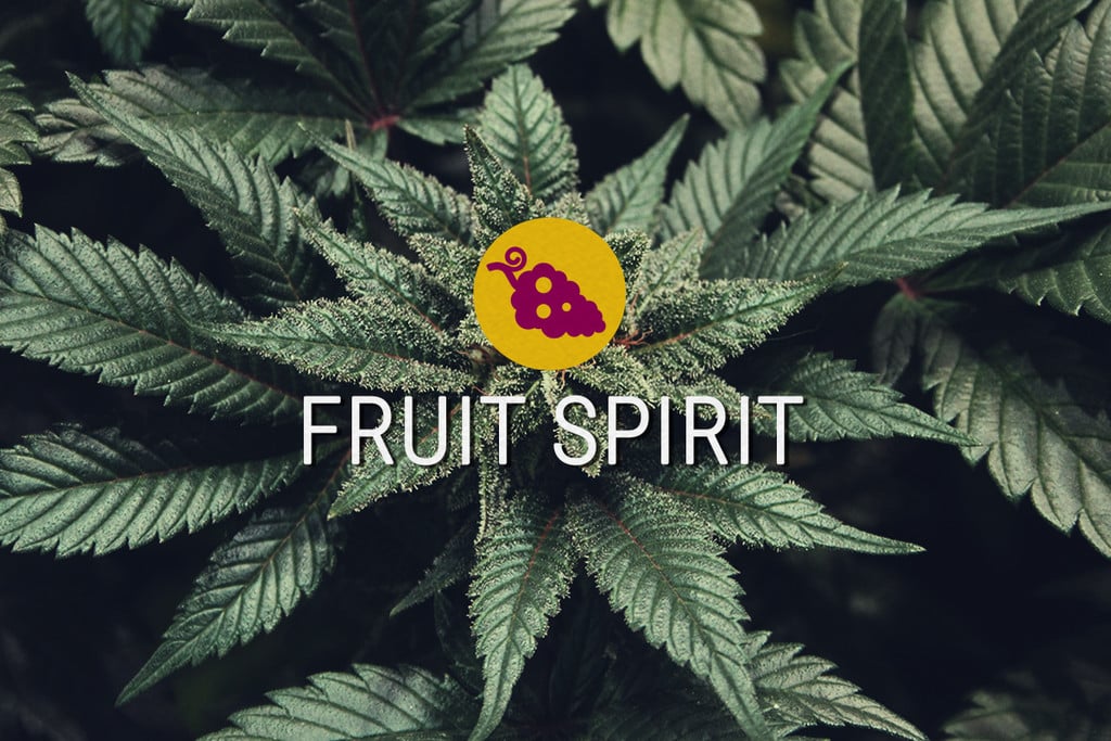 Fruit Spirit Llavors de marihuana feminitzades