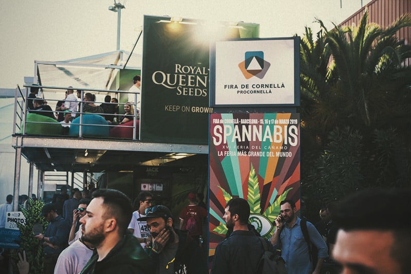 Royal Queen Seeds s'alça com a Millor Banc de Llavors en Spannabis 2019