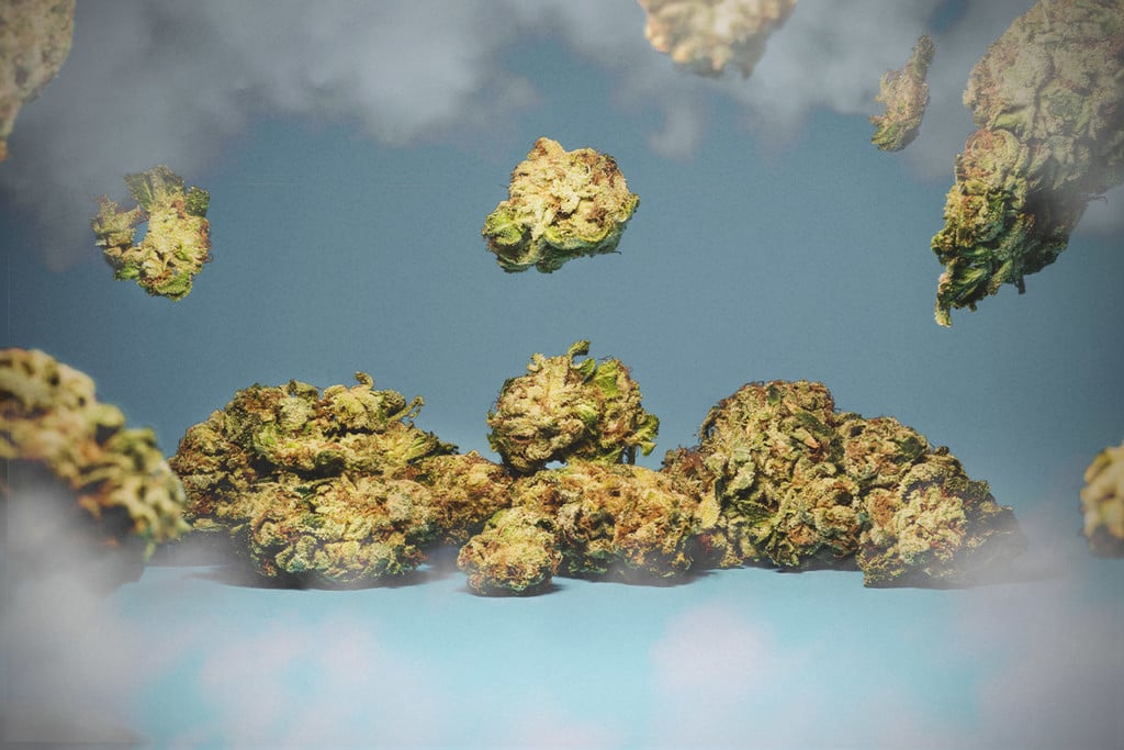 És possible tenir una sobredosi de Cànnabis?