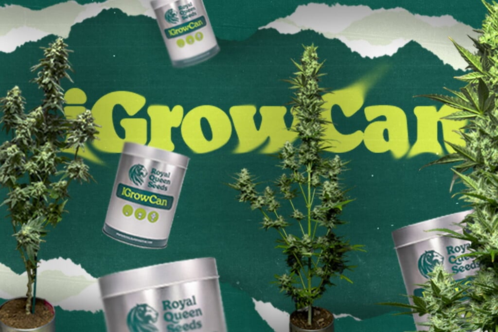 Descobreix l'iGrowcan: La forma més fàcil de plantar herba per primera vegada