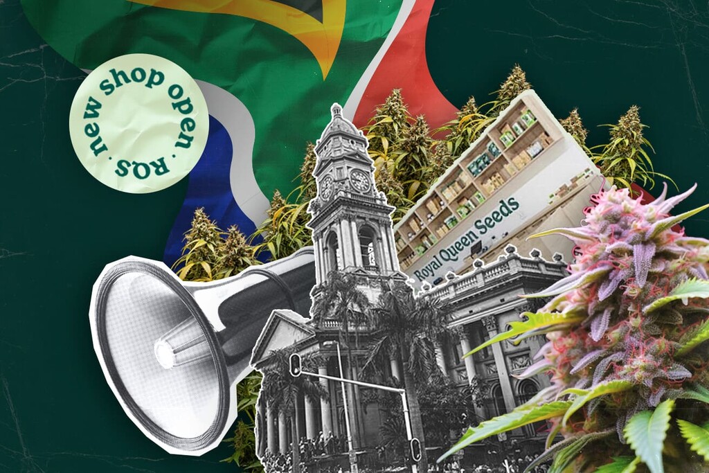 Royal Queen Seeds obre la seva primera botiga en Durban, portant les seves llavors de marihuana premium a Sud-àfrica
