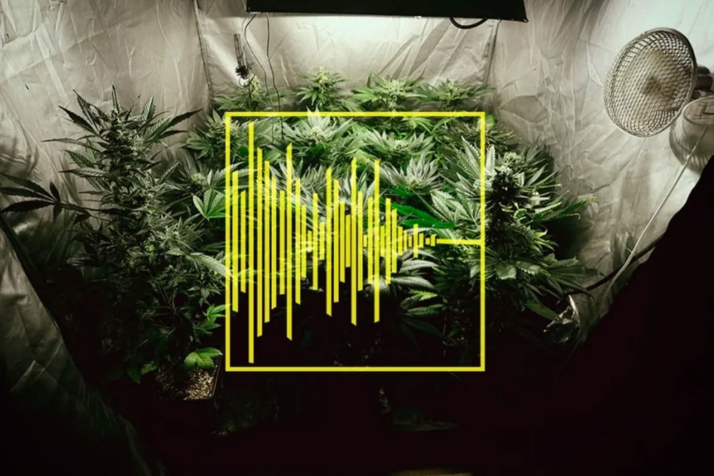 Tips For Silencing Your Grow Room Rqs Blog