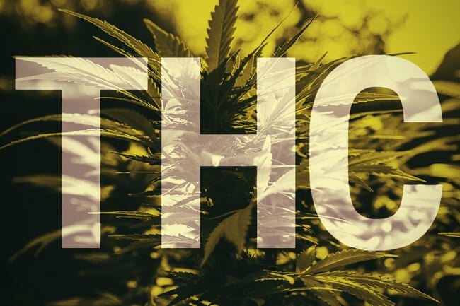 Què és el THC?