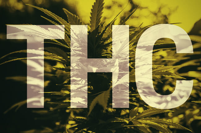 Què és el THC?