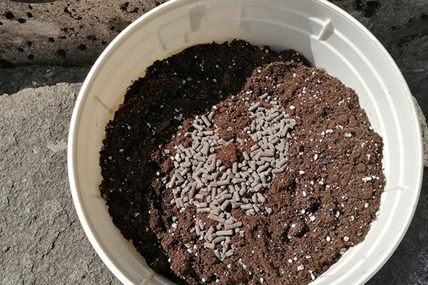 Easy Boost Nutrició Orgànica Easy Boost Nutrició Orgànica