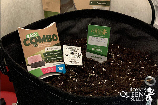 Easy Combo Pack Potenciació