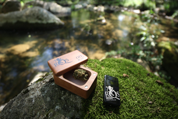 Encenedor de plasma RQS